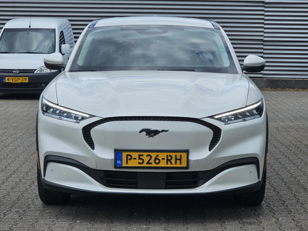 43432401-25.jpg
